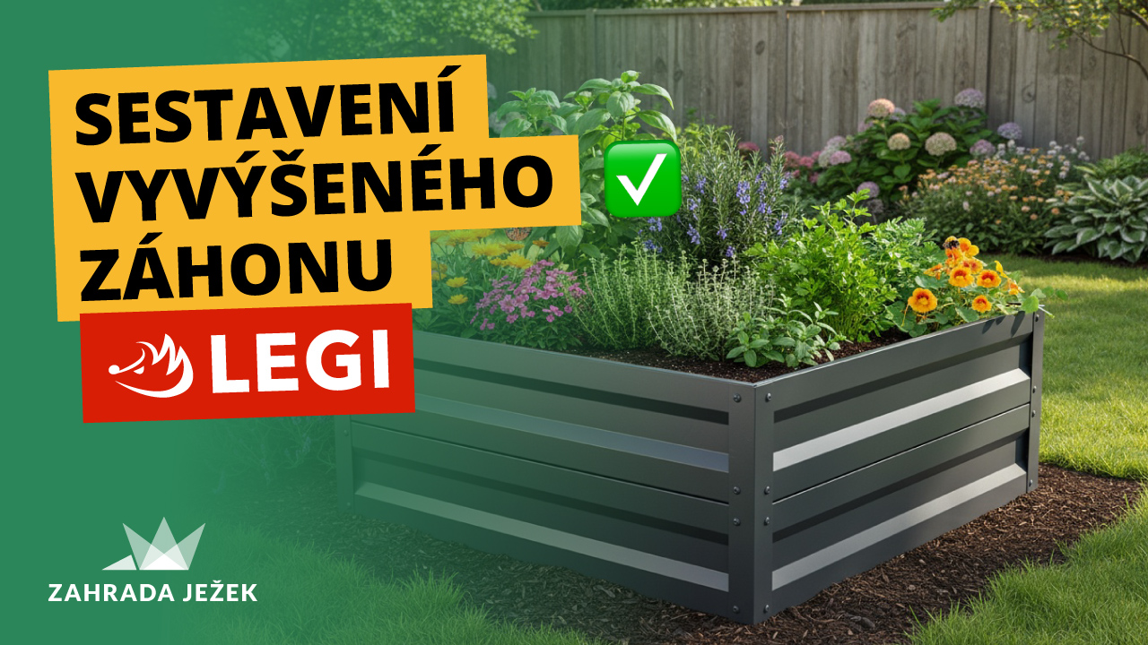 uvod-video-vyvyseny-zahon-LEGI